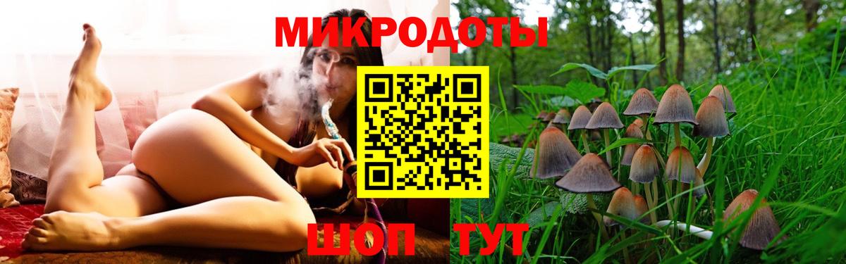 Псилоцибиновые грибы Cubensis Орёл